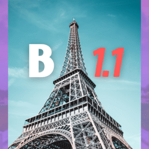 Niveau B1.1 - General French for Adults