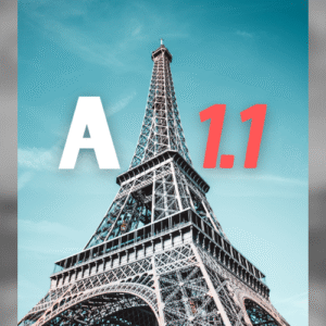 Niveau A1.1 For Adults